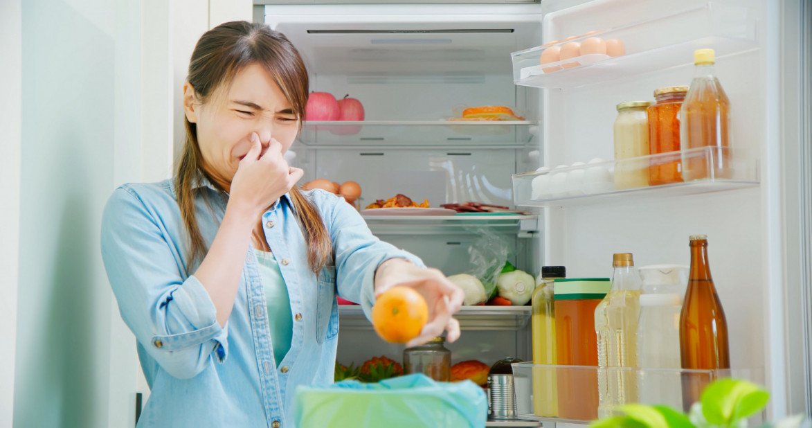 Vergevingsgezind geloof tijdschrift Wat doe je tegen een stinkende koelkast? - Schoonmaakbedrijven in Belgie