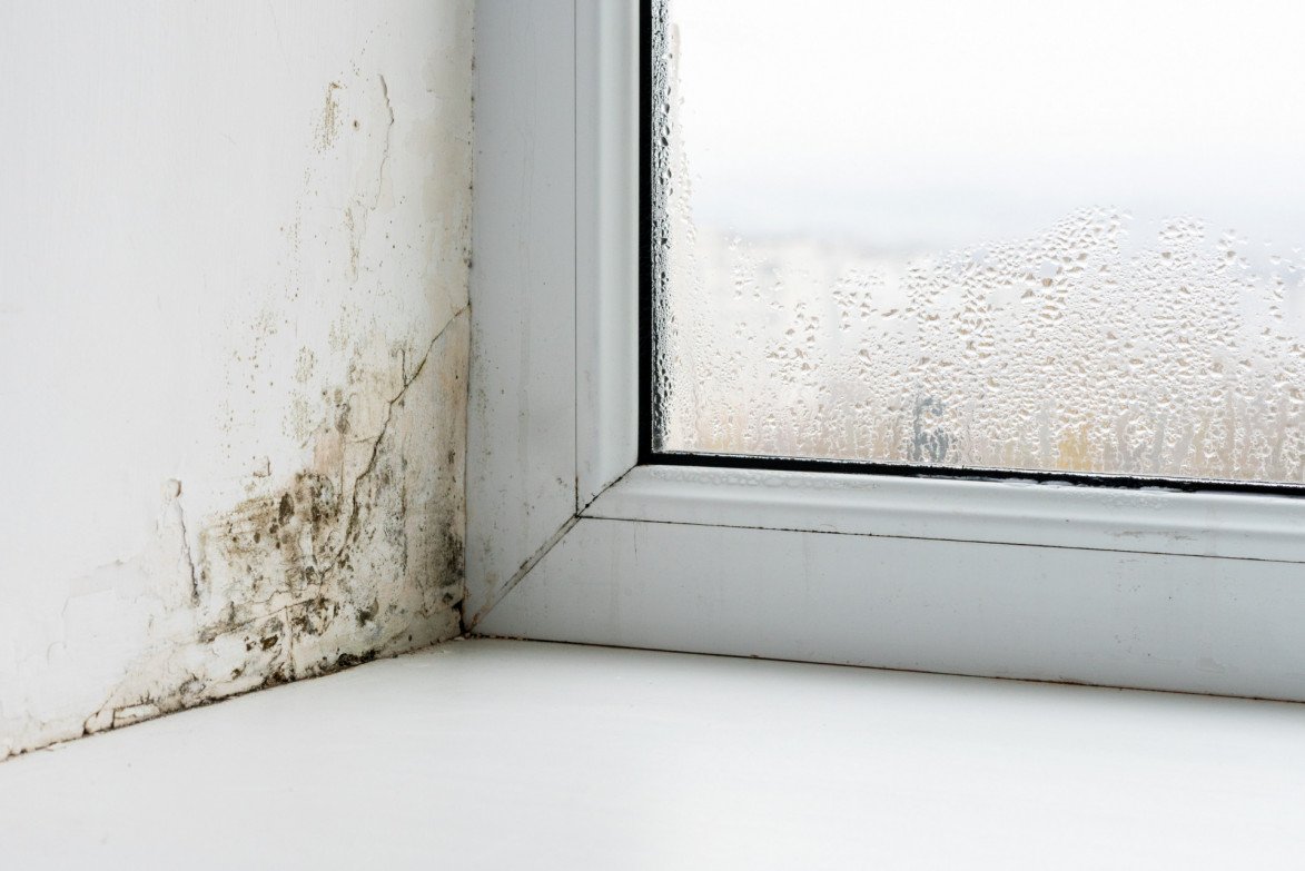 Schimmel op de muur verwijderen doe je gemakkelijk met deze tips Schoonmaakbedrijven in Belgie
